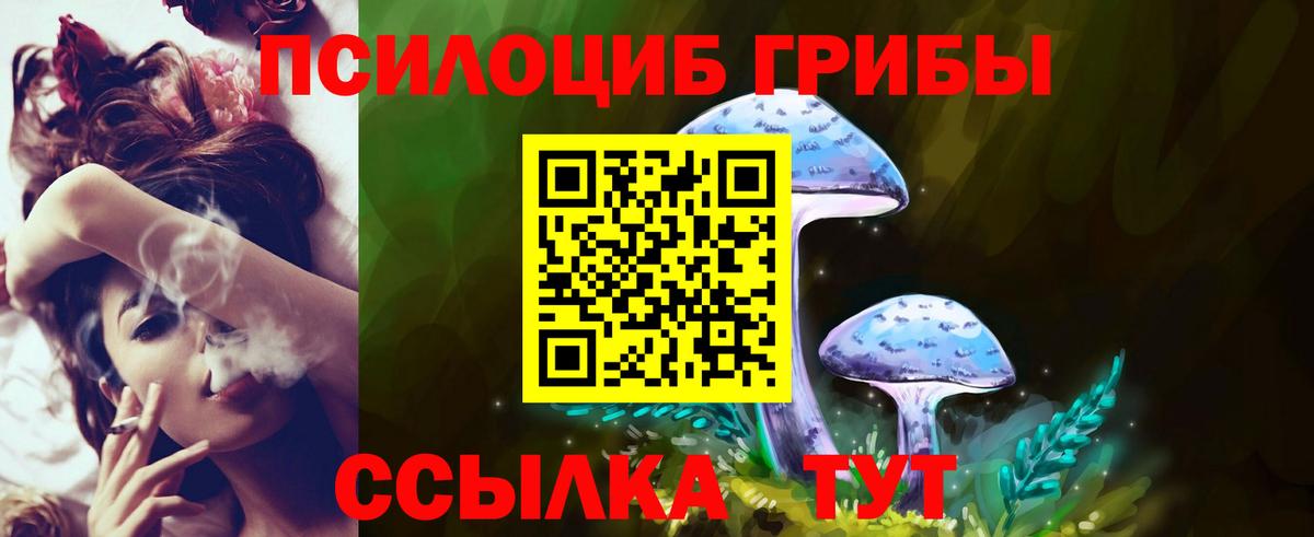 Псилоцибиновые грибы Cubensis Бугульма