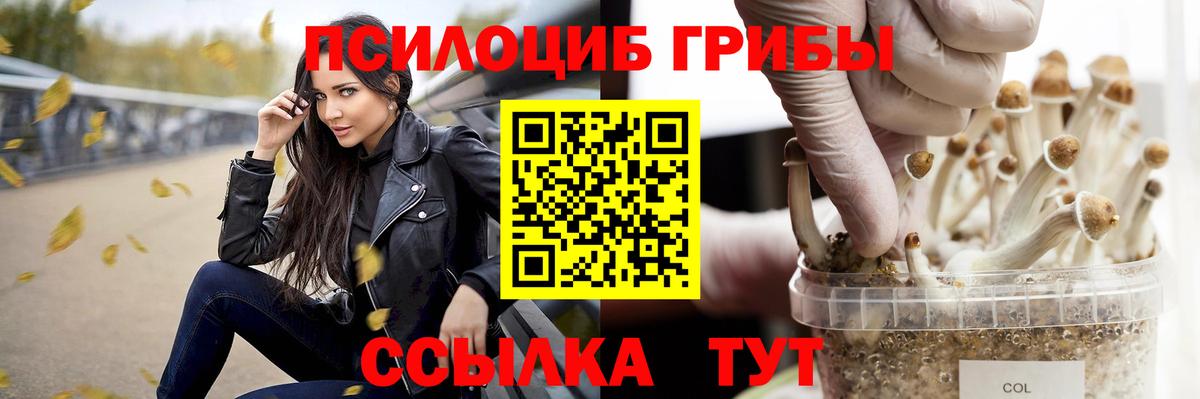 Псилоцибиновые грибы Cubensis  Вход с VPN  Бугульма 